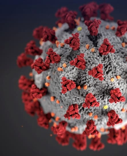 Coronavirus Depiction