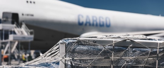 Wrapped shipping pallet in front of cargo plane